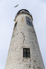Fototapeta na wymiar Seagull flying above Great Point lighthouse on Nantucket.