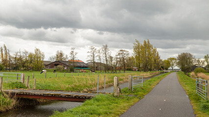 Cows graze on the pasture at the farm