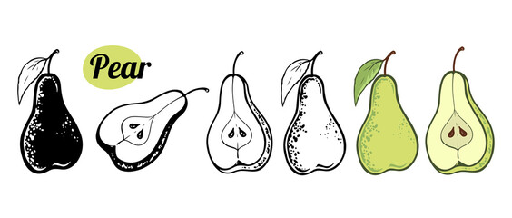 pear hand drawn vector illustration color and outline sketch set