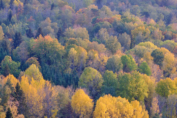 Obraz premium autumn in the mountains