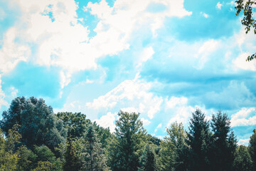 Fototapeta premium Blue skies at the garden