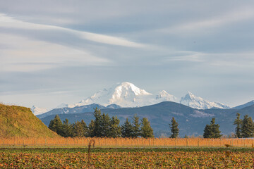 Mount Baker in Washington State seen from the Fraser Valley in British Columbia. Mount Baker volcano in autumn