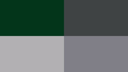 monochrome palette, abstract background colors	