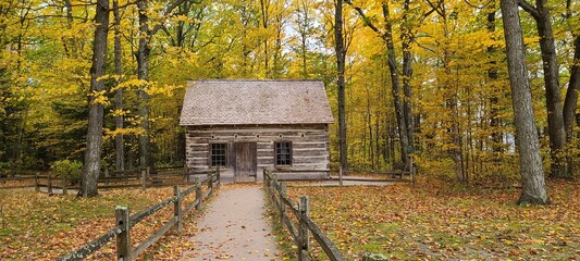 Log Cabin in the Woods