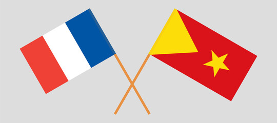 Crossed flags of France and Tigray. Official colors. Correct proportion