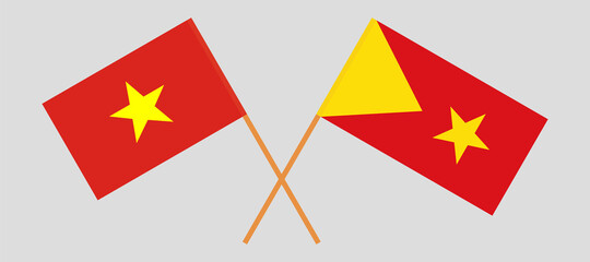 Crossed flags of Vietnam and Tigray. Official colors. Correct proportion