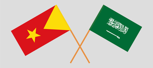 Crossed flags of Tigray and the Kingdom of Saudi Arabia. Official colors. Correct proportion