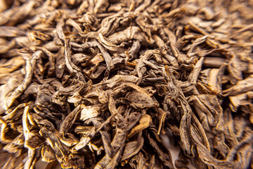 Dried tobacco close-up, large rolled tobacco leaves. Macro photography