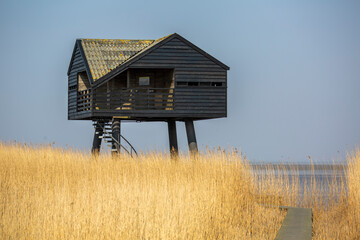 Birdwatching house in the Wadden Sea between the northern Netherlands and Germany
