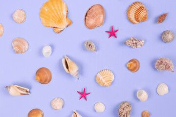 Color of the year 2022 concept. Mix of sea shells on lilac background. Summer time vacations. Selective focus