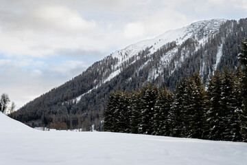 Snow landscape with mountains and forest in the canton of Graubunden, Switzerland