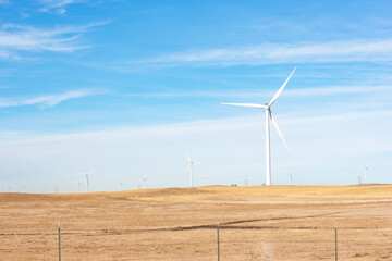 wind turbine in the field