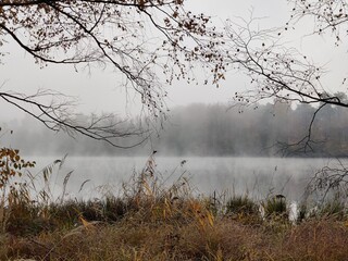 Nebel steigt in Schwaden vom See auf und erzeugt eine gruselige Stimmung - obrazy, fototapety, plakaty