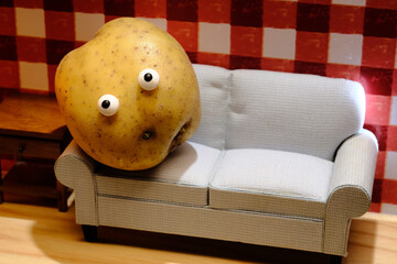 Lazy Couch Potato