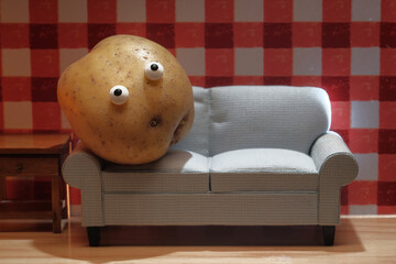 Lazy Couch Potato - 474099332