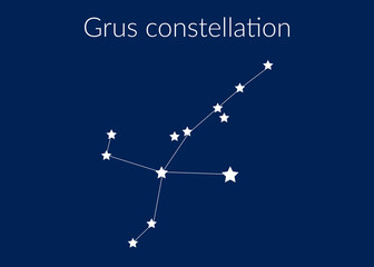 Grus zodiac constellation sign with stars on blue background of cosmic sky