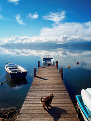 Romantic view of a jetty overlooking the sea with a cat walking on it. Old wharf during a sunny day with flat sea and beautiful white clouds.