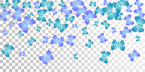 Tropical blue butterflies flying vector wallpaper. Summer little moths. Decorative butterflies flying baby illustration. Tender wings insects graphic design. Fragile beings.