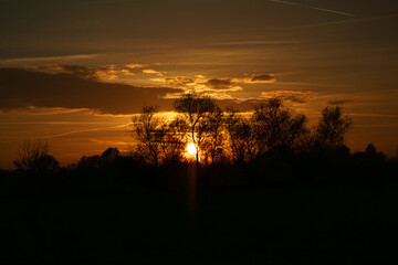 Naklejka premium Sunset with burning sky behind the trees.