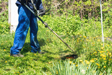 The gardener mows the grass with a trimmer in the garden