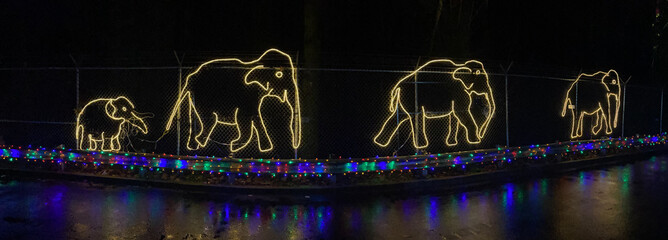 Christmas and holiday lights depict a panorama image of several elephants walking among colored lights at the zoo in Portland Oregon
