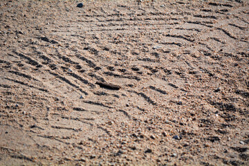 Desert Ground - Macro Shot of the Dirt