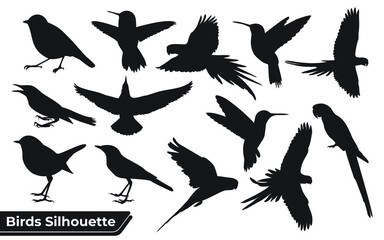 Flying Different Type of Birds silhouette with wings