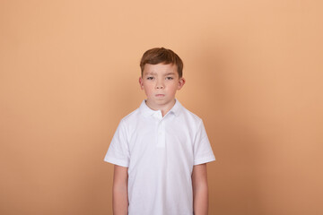 emotional portrait of a young boy teenager. charming school boy. beautiful kid. on light brown background.