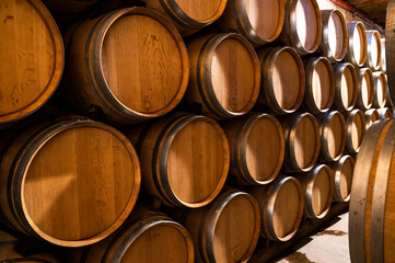 Keeping for years of dry red wine in new oak barrels in caves in Burgundy, made from pinot noir grape