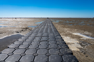 Walking on beach of Harlingen fisherman town on Wadden sea, Friesland, Netherlands at low tide