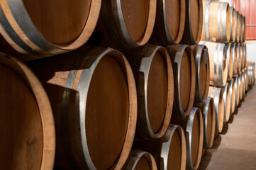 Keeping for years of dry red wine in new oak barrels in caves in Burgundy, made from pinot noir grape