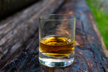 Glass of strong scotch single malt whisky on old log soaked in creosote