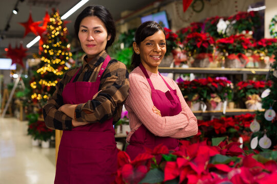 Portrait of two successful and confident women sellers working in the store before the Christmas holidays
