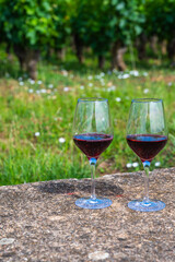 Tasting of burgundy red wine from grand cru pinot noir  vineyards, two glasses of wine and view on green vineyards in Burgundy Cote de Nuits wine region, France