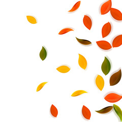 Fototapeta na wymiar Falling autumn leaves. Red, yellow, green, brown n