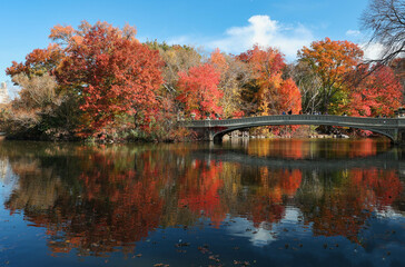 Autumn reflections in Central Park