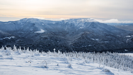 Obraz premium The wonderful and massive mount Lyall covered in snow from afar, Gaspesie, QC, Canada