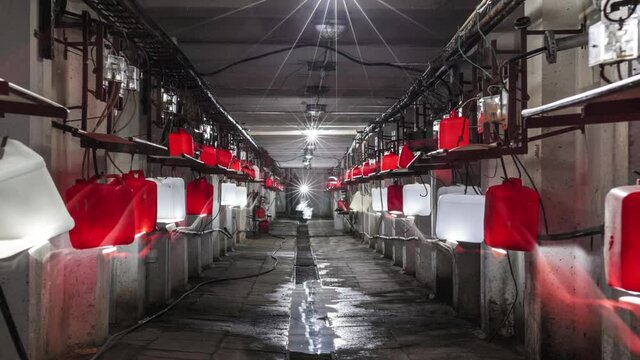 The underground part of the lysimetric station. Soil filtrate research laboratory