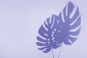 Palm leaf shadow toned in trendy Very Peri color of the year 2022. Minimal summer concept with tropical shadows. Creative abstract Purple or violet vivid background with copy space