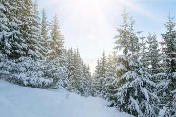 View of the nearby mountains in winter, Zakopane