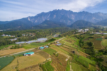 Fototapeta premium aerial view of Kundasang Sabah landscape with cabbage farm and Mount Kinabalu at far background during morning.