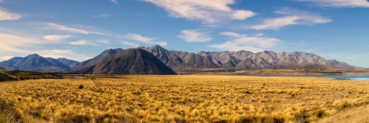 The golden tussock grassland at Lake Heron in the Ashburton lakes district bordered by the Southern...