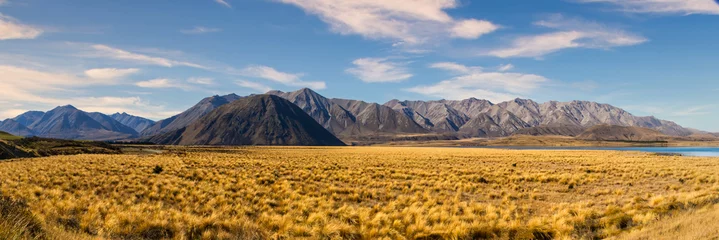 Foto op Canvas The golden tussock grassland at Lake Heron in the Ashburton lakes district bordered by the Southern alps mountain range © Stewart