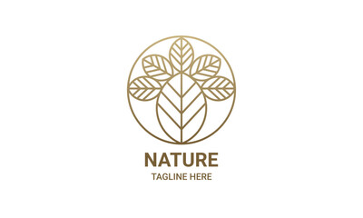 Tropical plant logo. Round emblem leaves in linear style