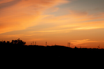 Obraz premium sunset over the field