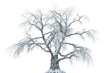 Winter tree in the snow isolated on white background 3d illustration