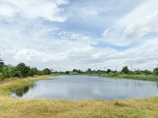 fish pond in country Thailand