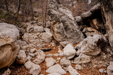 Stone Stairs and Large White Boulders In Guadalupe Mountains
