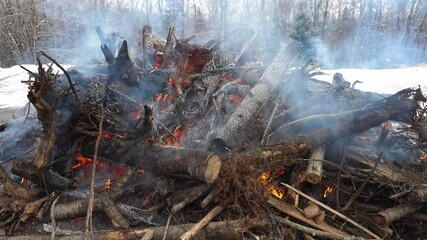 Big fire in the countryside.  Slow motion shot of burning slash pile in a rural area. Burning felled trees in the winter time. Ontario, Canada. 