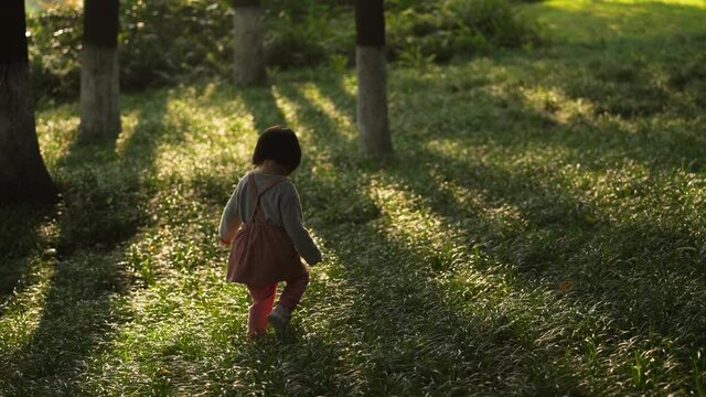 back view slow motion little asian baby girl walking in the sunny park lawn grass field in autumn woods